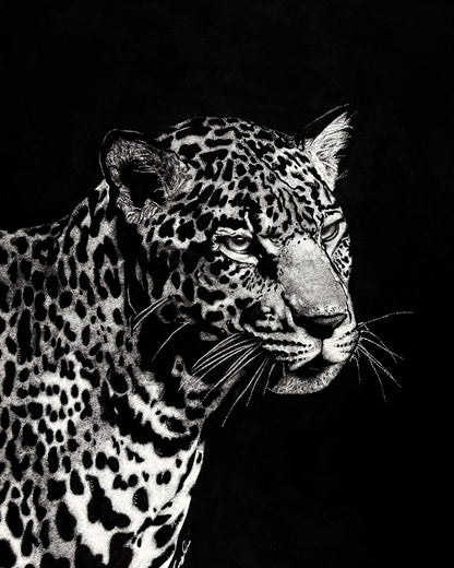 Unique Markings