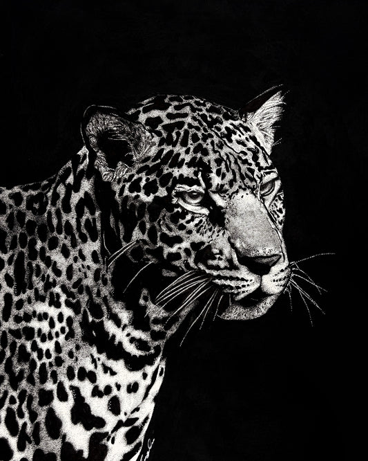 Unique Markings