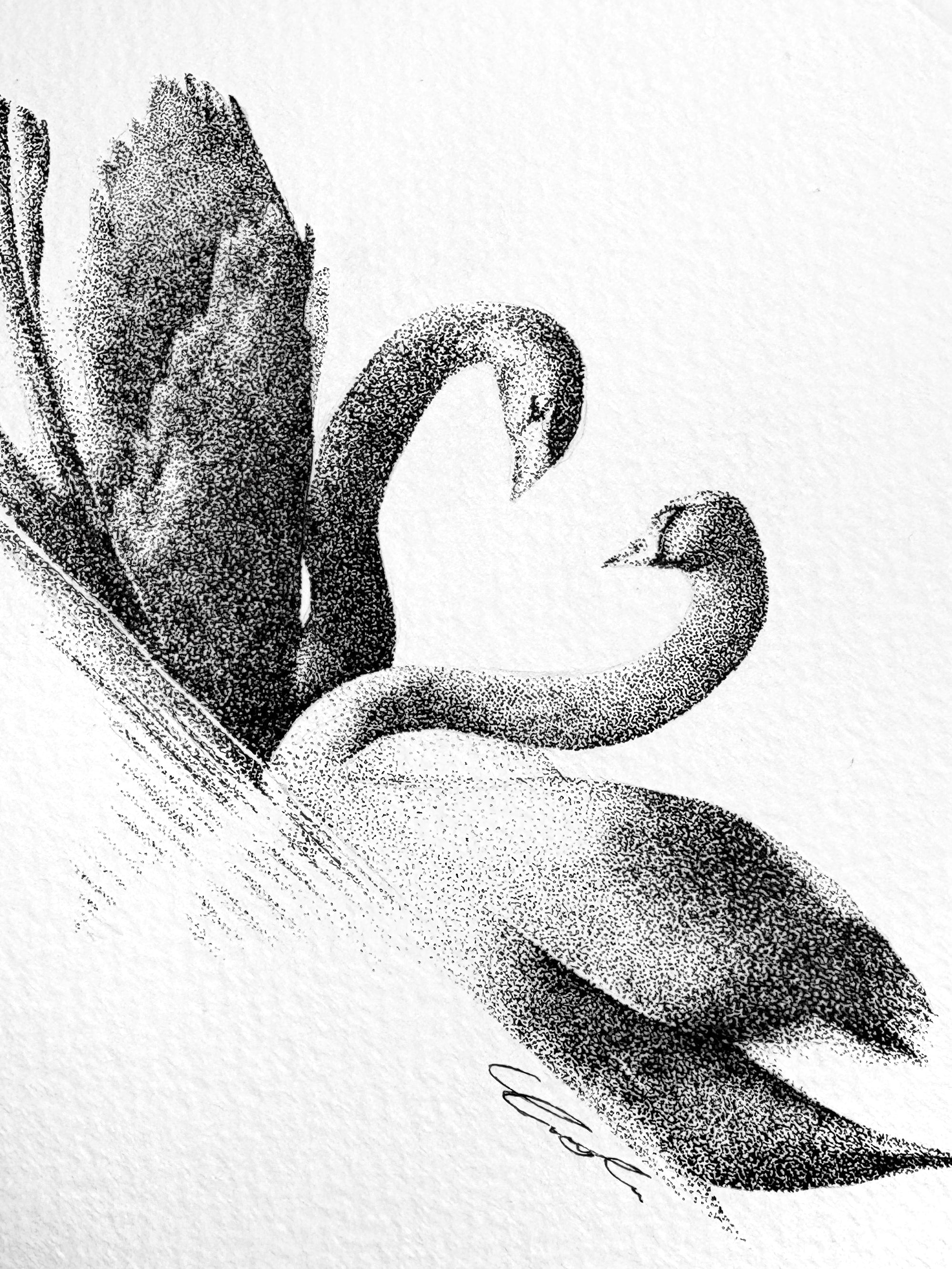 Love Birds