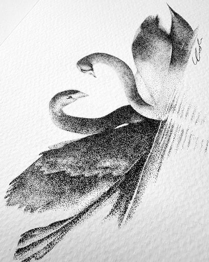 Love Birds