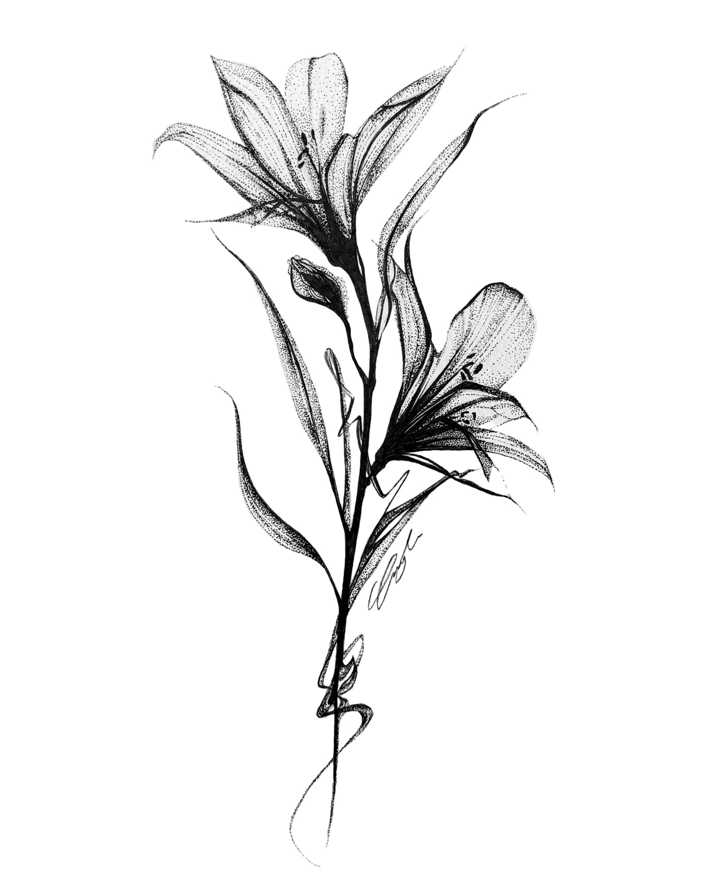 Timeless Spring