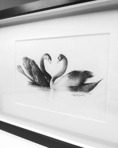 Love Birds