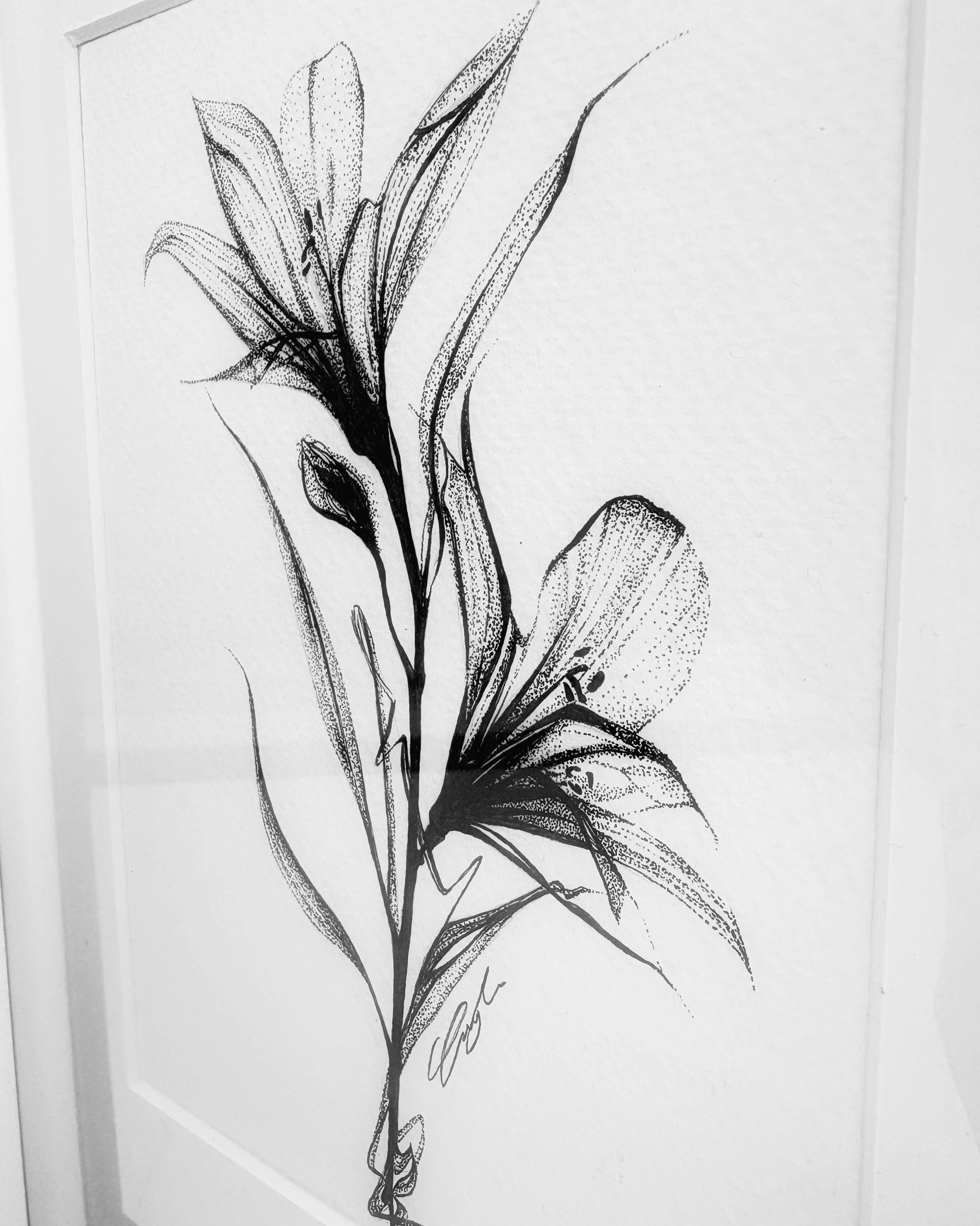Timeless Spring