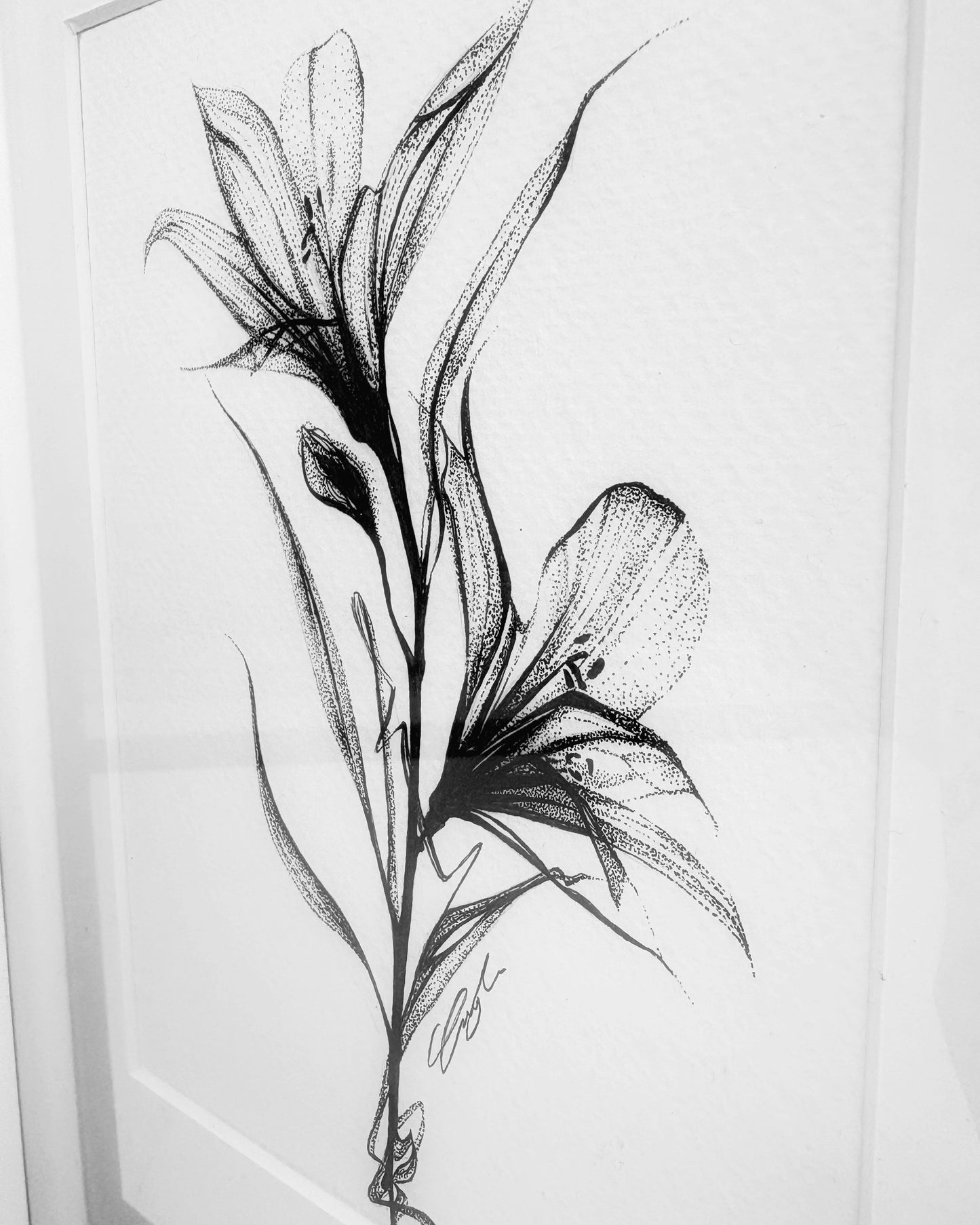 Timeless Spring
