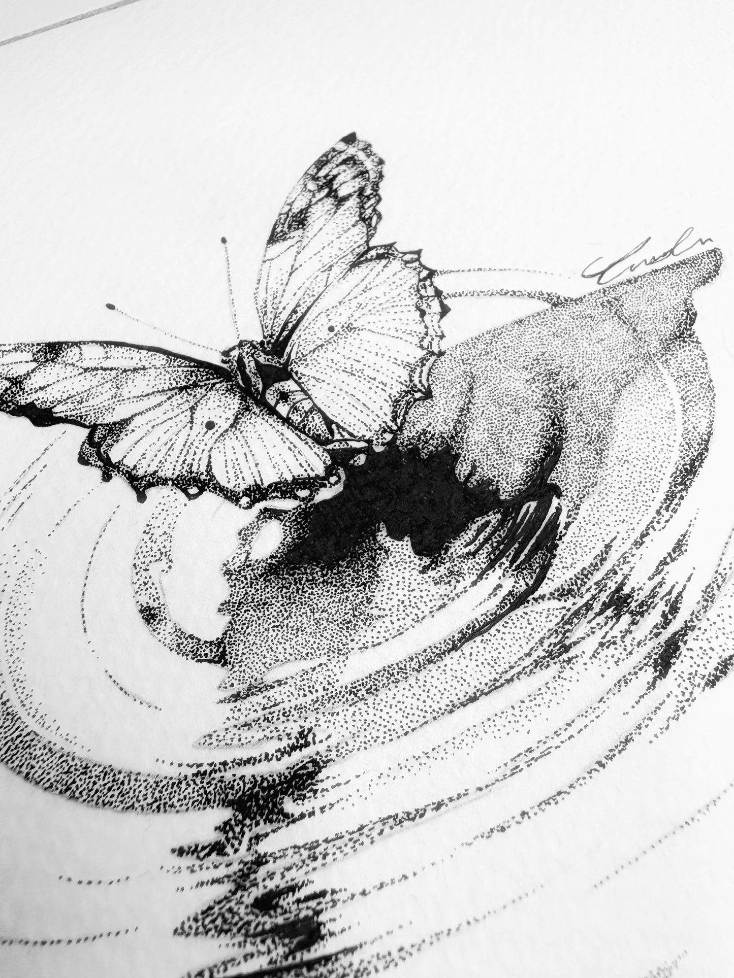 Flutter By