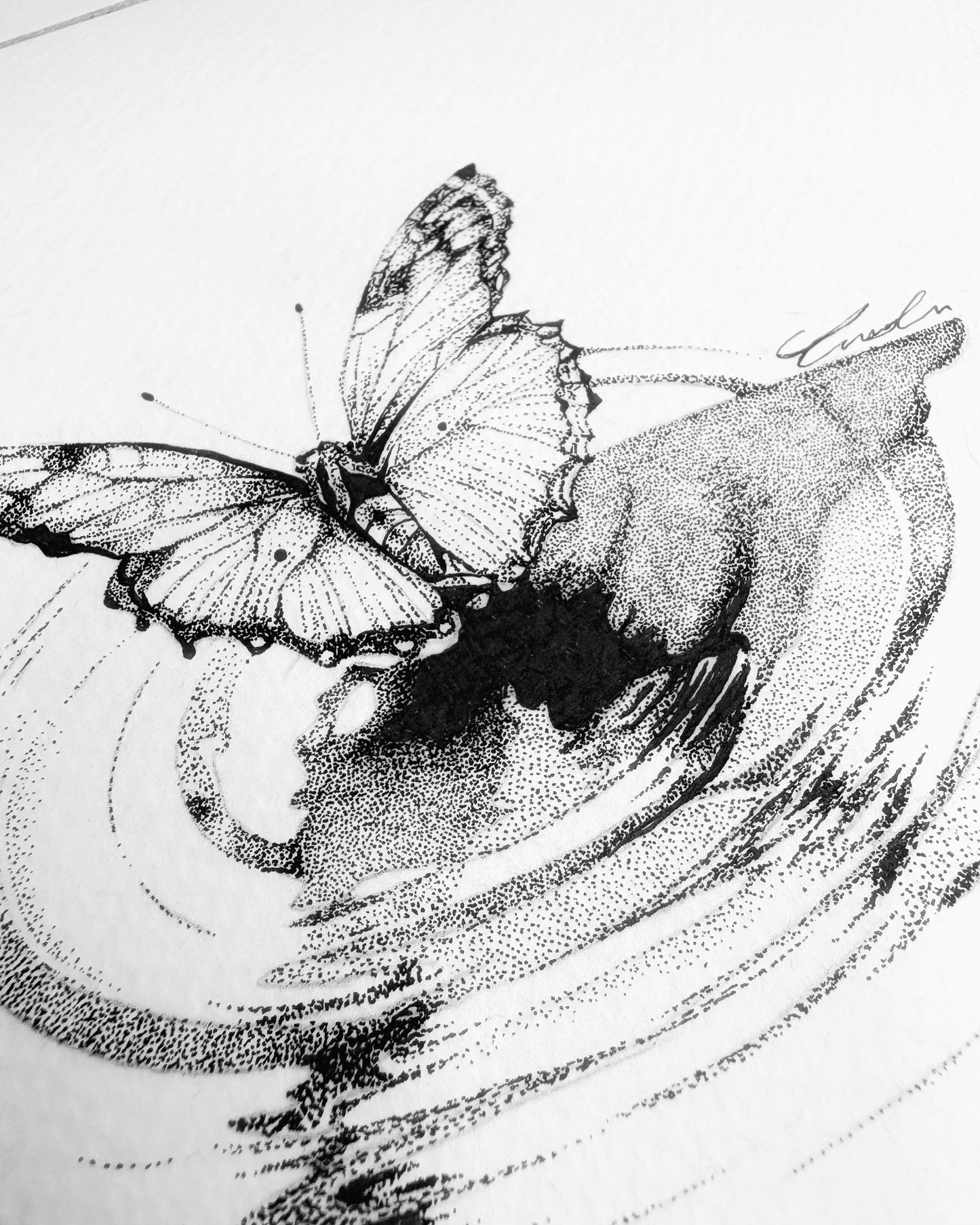 Flutter By