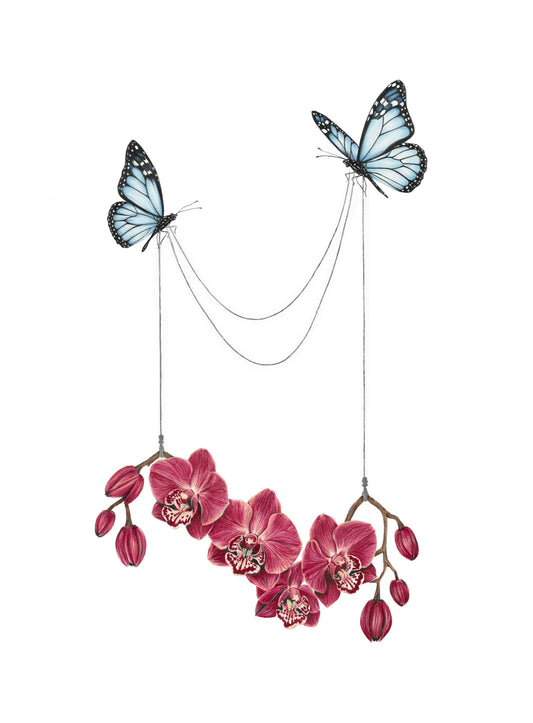'Weightless'