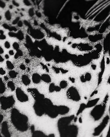 Unique Markings